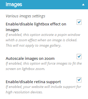 customizr-v3.1.5-new-retina-support