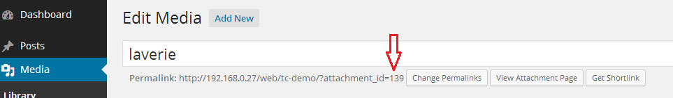 finding-a-wordpress-media-id